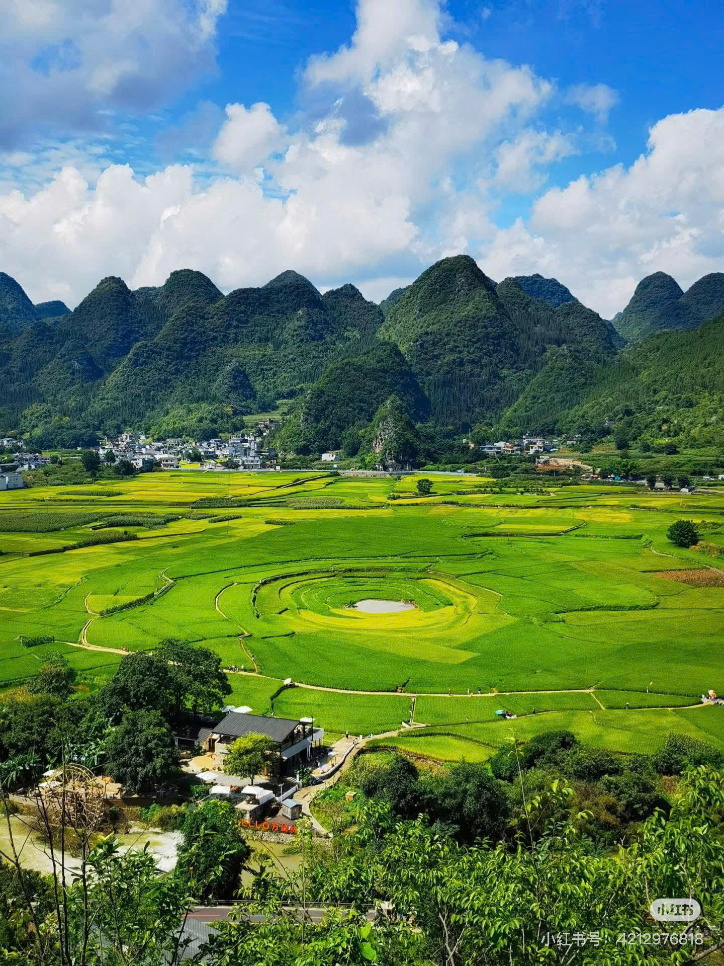 Khi Tôi Ngừng Làm Con Hiếu Thảo